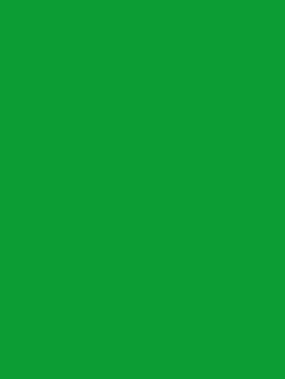 Kate Solid Green Screen Fabric Backdrop for Photography - Katebackdrop