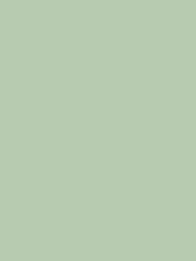 Kate Sage Green Solid Cloth Photography Backdrop Portrait Photographer - Katebackdrop