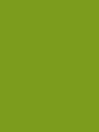 Kate Lime Green Solid Cloth Photography Fabric Backdrop - Katebackdrop
