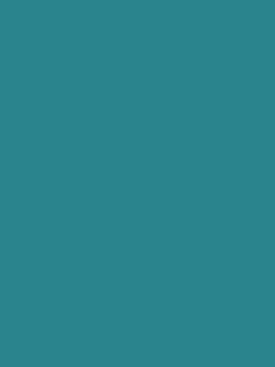 Kate Blue Green Solid Photography Backdrop - Katebackdrop