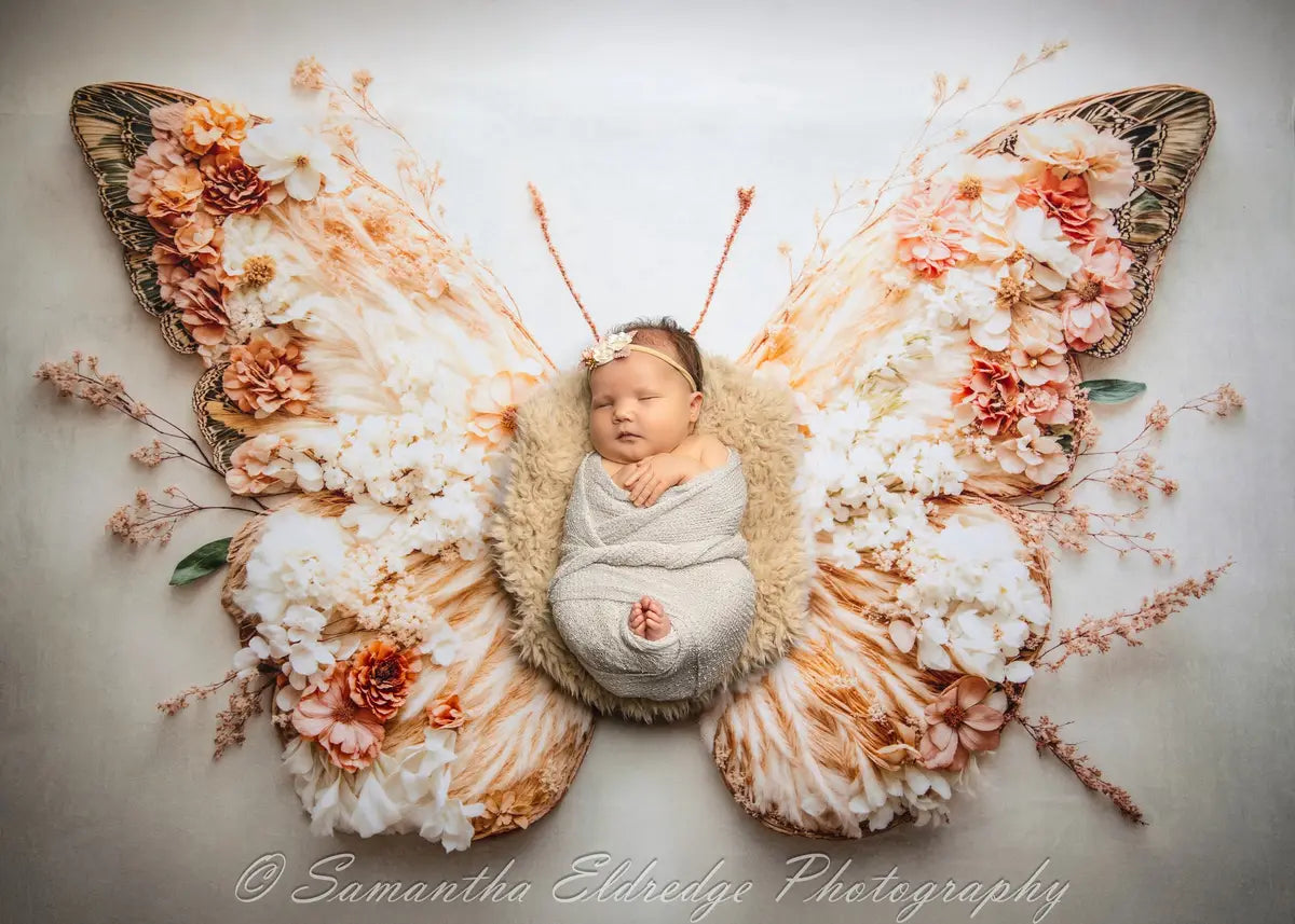 Kate Newborn Floral Butterfly Wings Floor Backdrop Designed by Emetselch