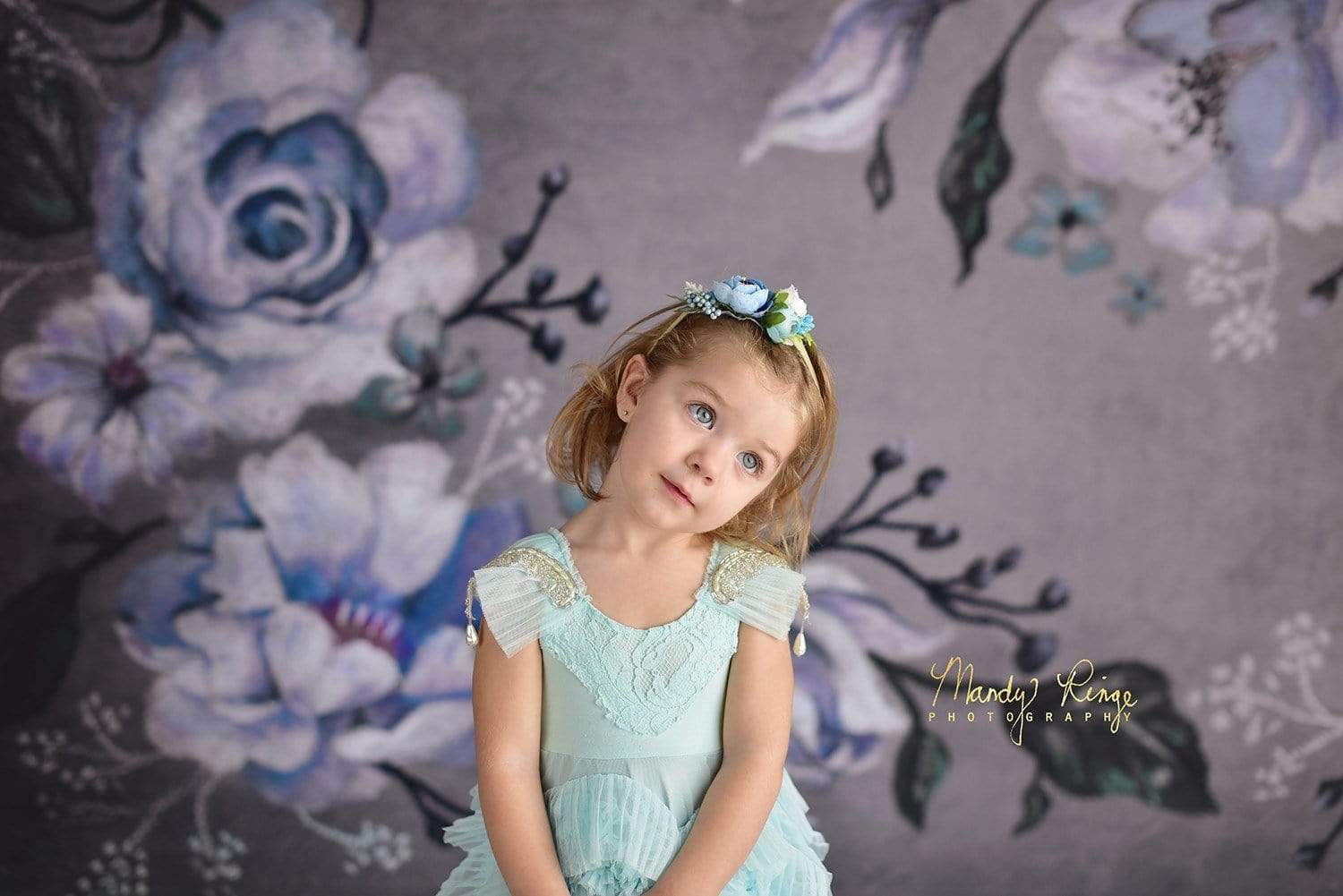 Katebackdrop鎷㈡綖Kate Fine Art Winter Floral Backdrop Designed By Mandy Ringe Photography