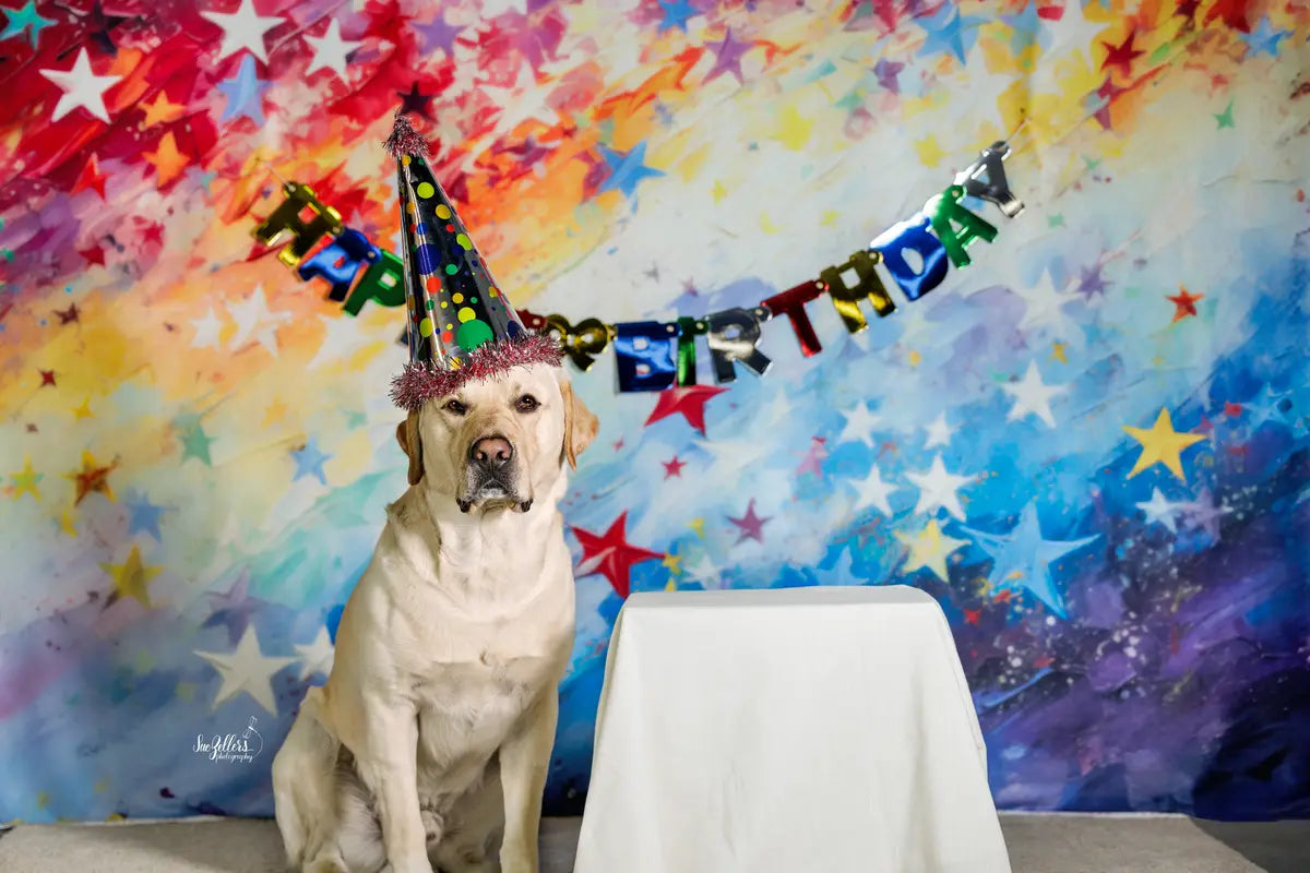 Kate Fine Art Painted Rainbow Star Gradient Wall Backdrop Designed by Lidia Redekopp