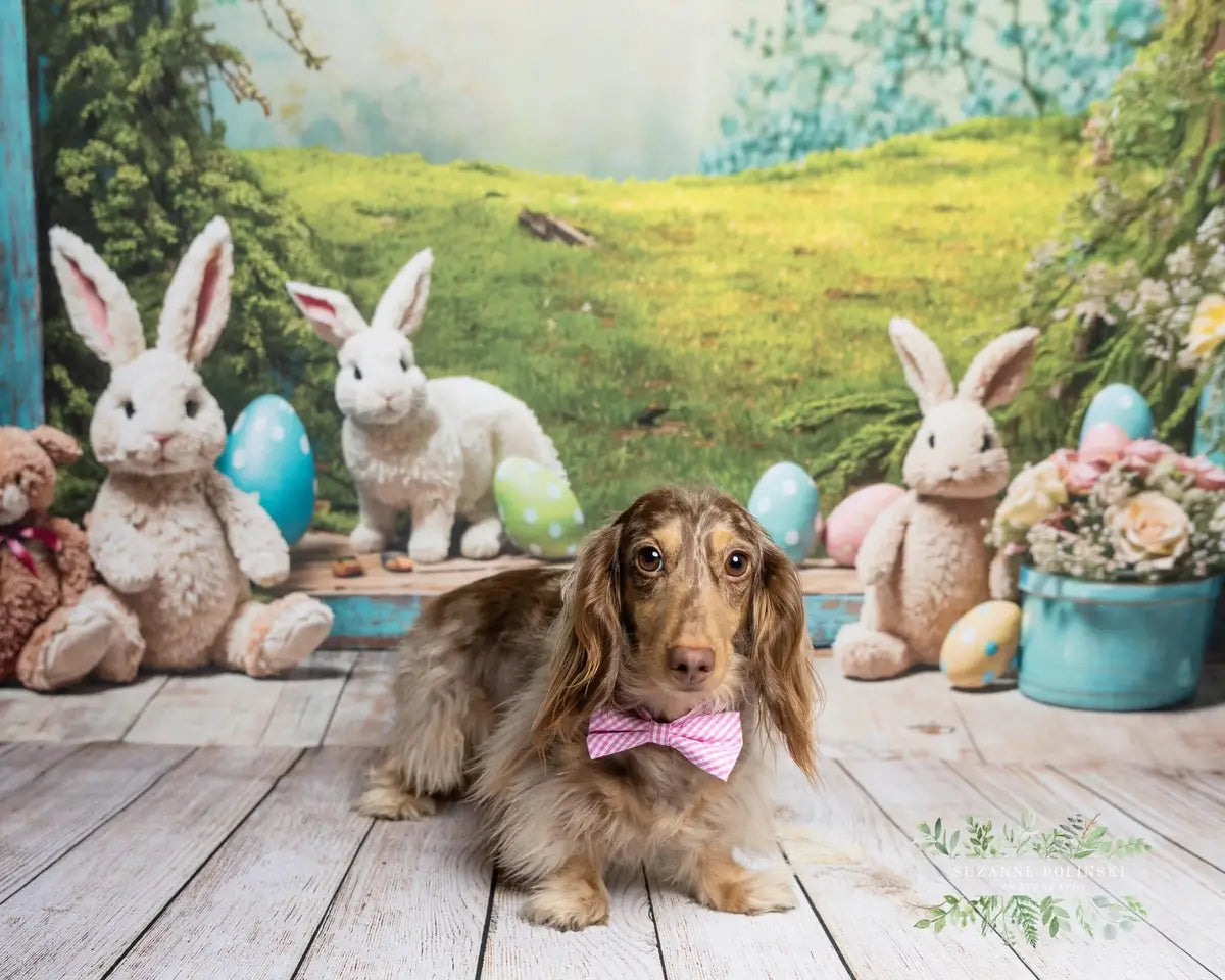 Kate Easter Bunny Hole View Alice in Wonderland Style Backdrop for Storybook-themed Photoshoots