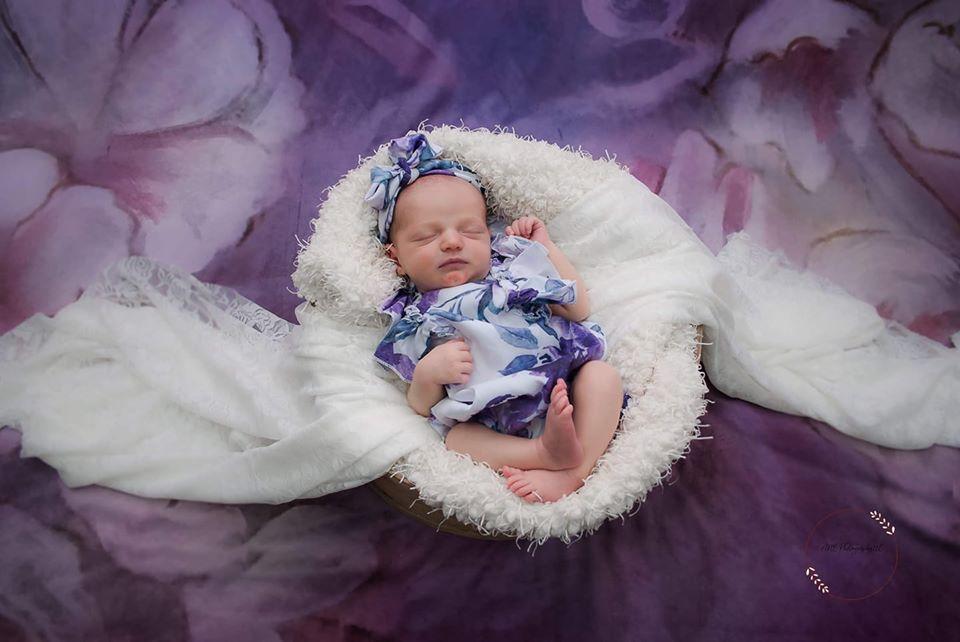 Katebackdrop鎷㈡綖Kate Fine Art Purple Painting Flowers Backdrop for Photography