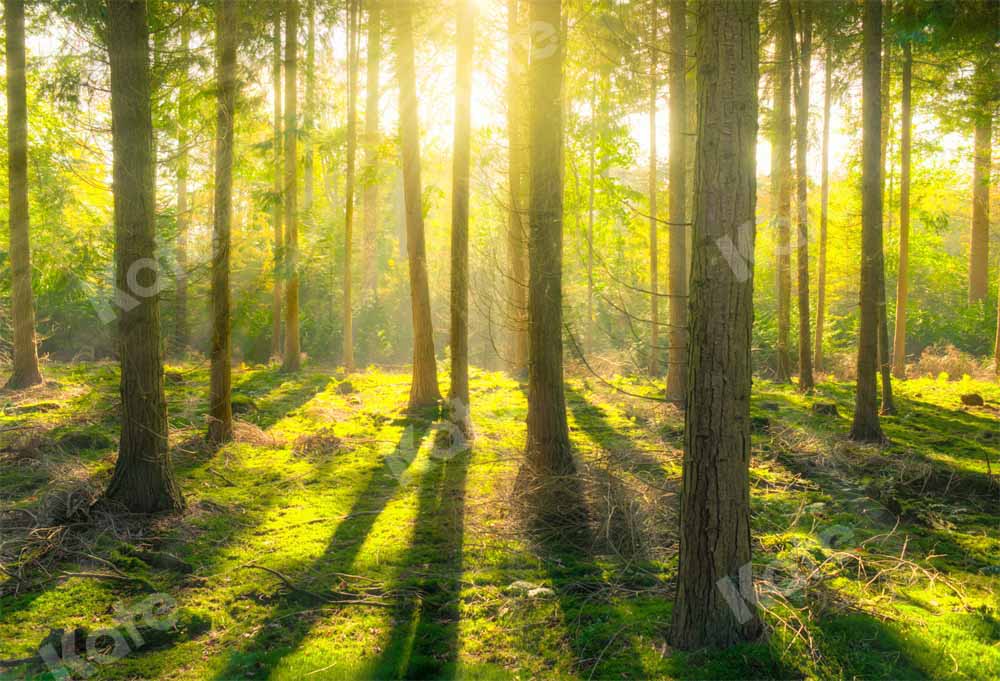 Kate Spring Sunshine Natural Forest Backdrop Designed by Kate Image