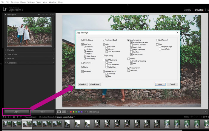 How to Copy Settings from One Photo to Another in Lightroom