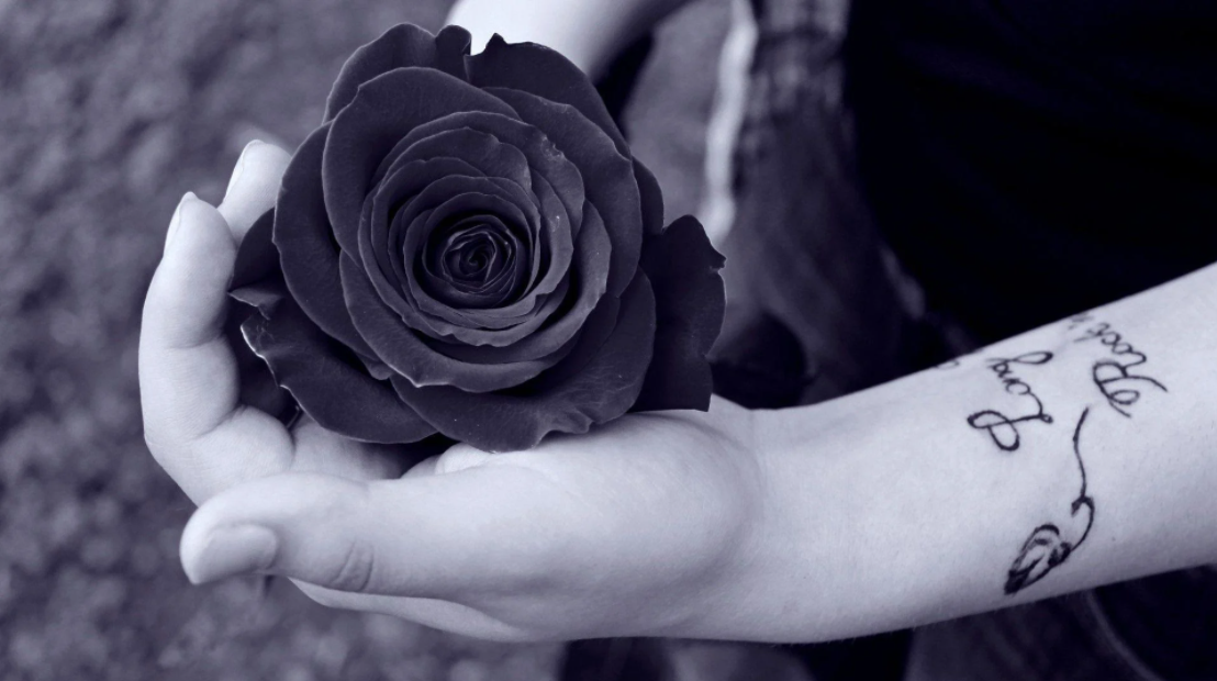 Black and Grey Rose Photography