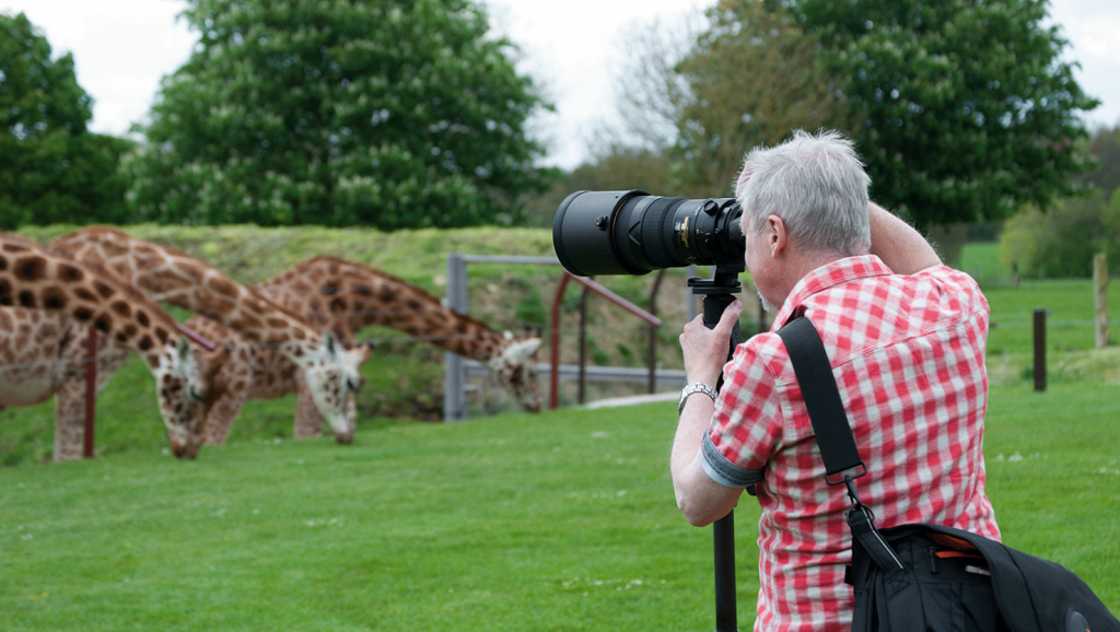 Zoo Photography Tips