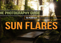 How to Photograph Sun Flares