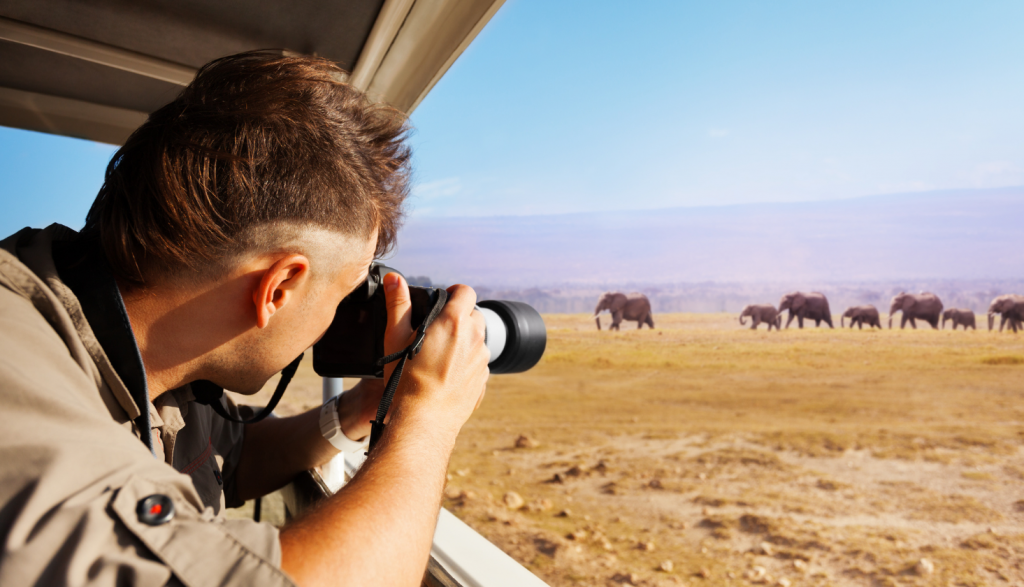 Wildlife Photography Tips for Beginners