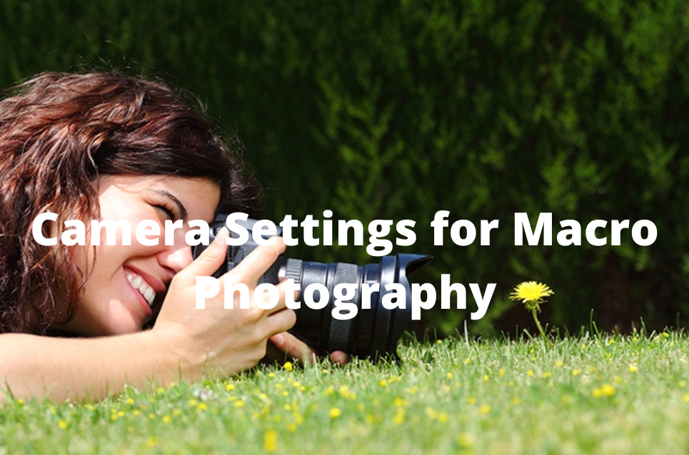 Camera Settings for Macro Photography